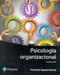 PSICOLOGIA ORGANIZACIONAL