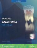 ANATOMIA DENTAL