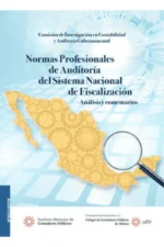 NORMAS PROFESIONALES DE AUDITORIA DEL SISTEMA NACIONAL DE FISCALIZACIÓN