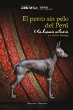 EL PERRO SIN PELO DEL PERÚ