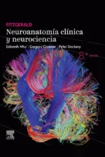 FITZGERALD. NEUROANATOMÍA CLÍNICA Y NEUROCIENCIA