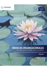 MODELOS ORGANIZACIONALES